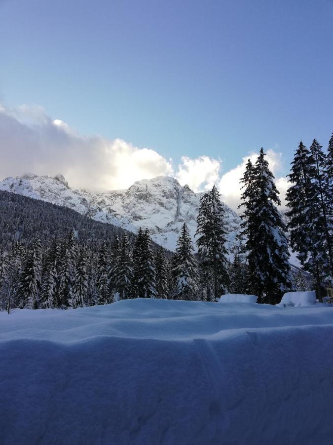 Apartmán Stella Alpina Padola Exteriér fotografie